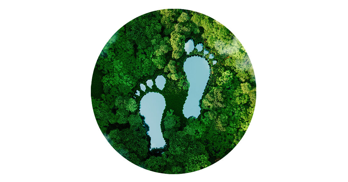 Vivafloors Footprint 1107x0 c default 1